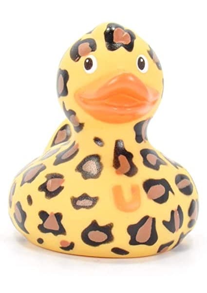 Thumbnail Leopard Front