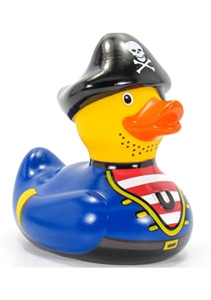 Jia's favorite duck